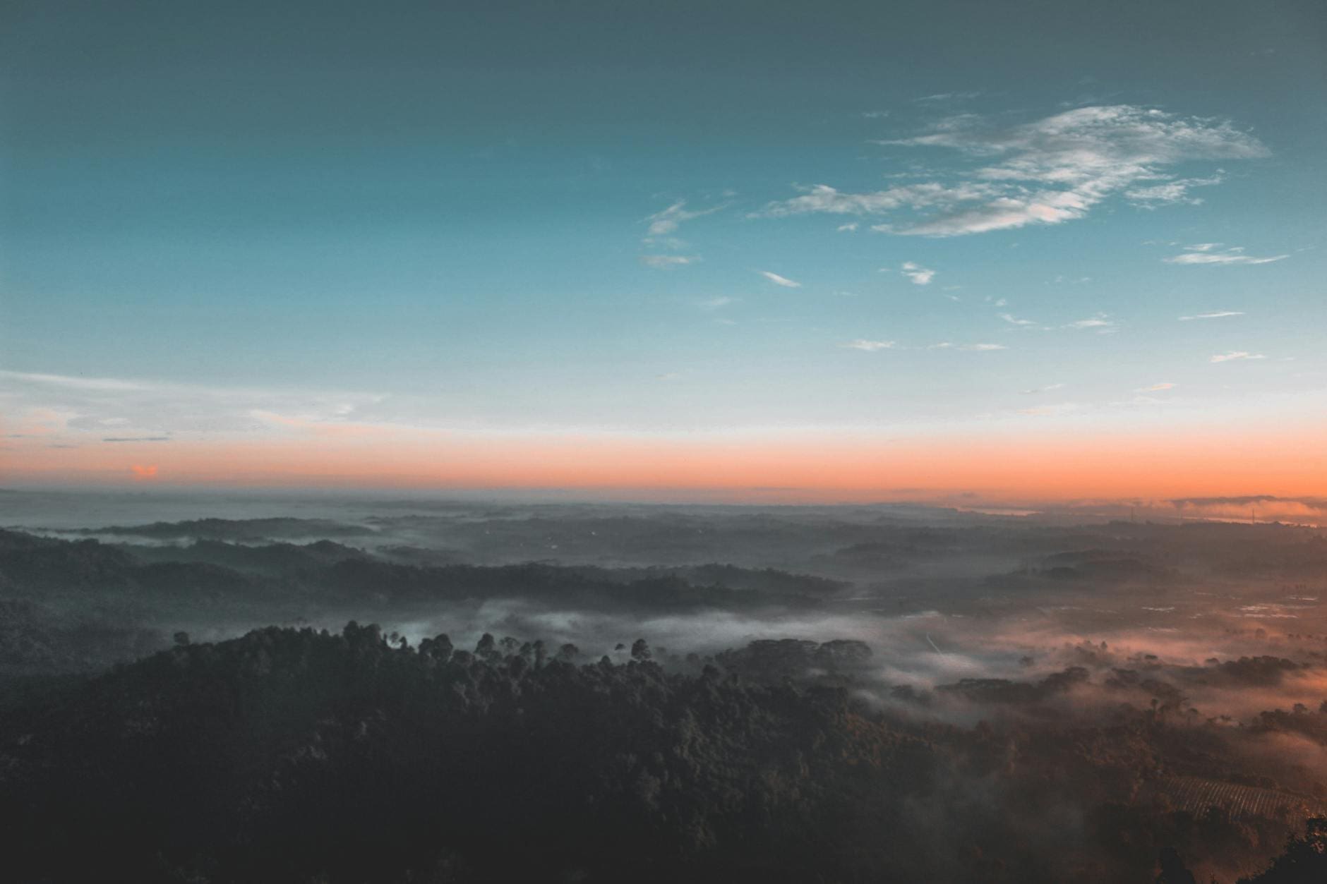 bird s eye view photography of green forest