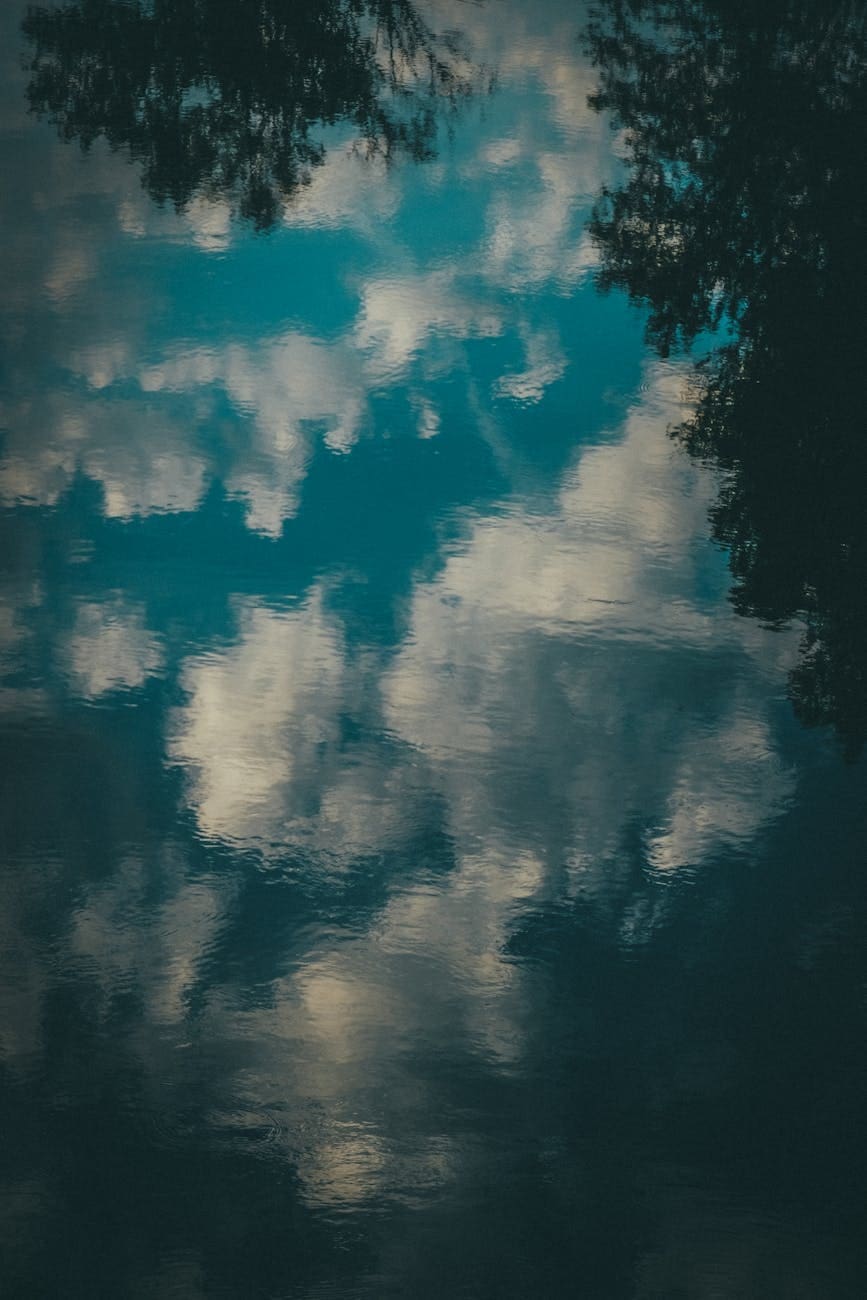 reflection of trees on water