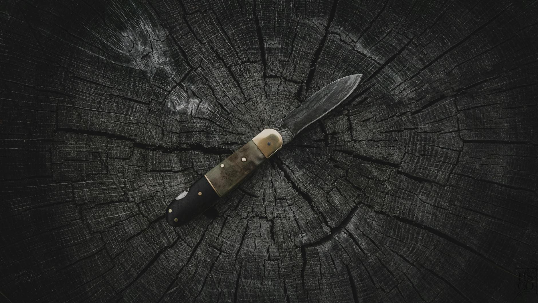 folding knife