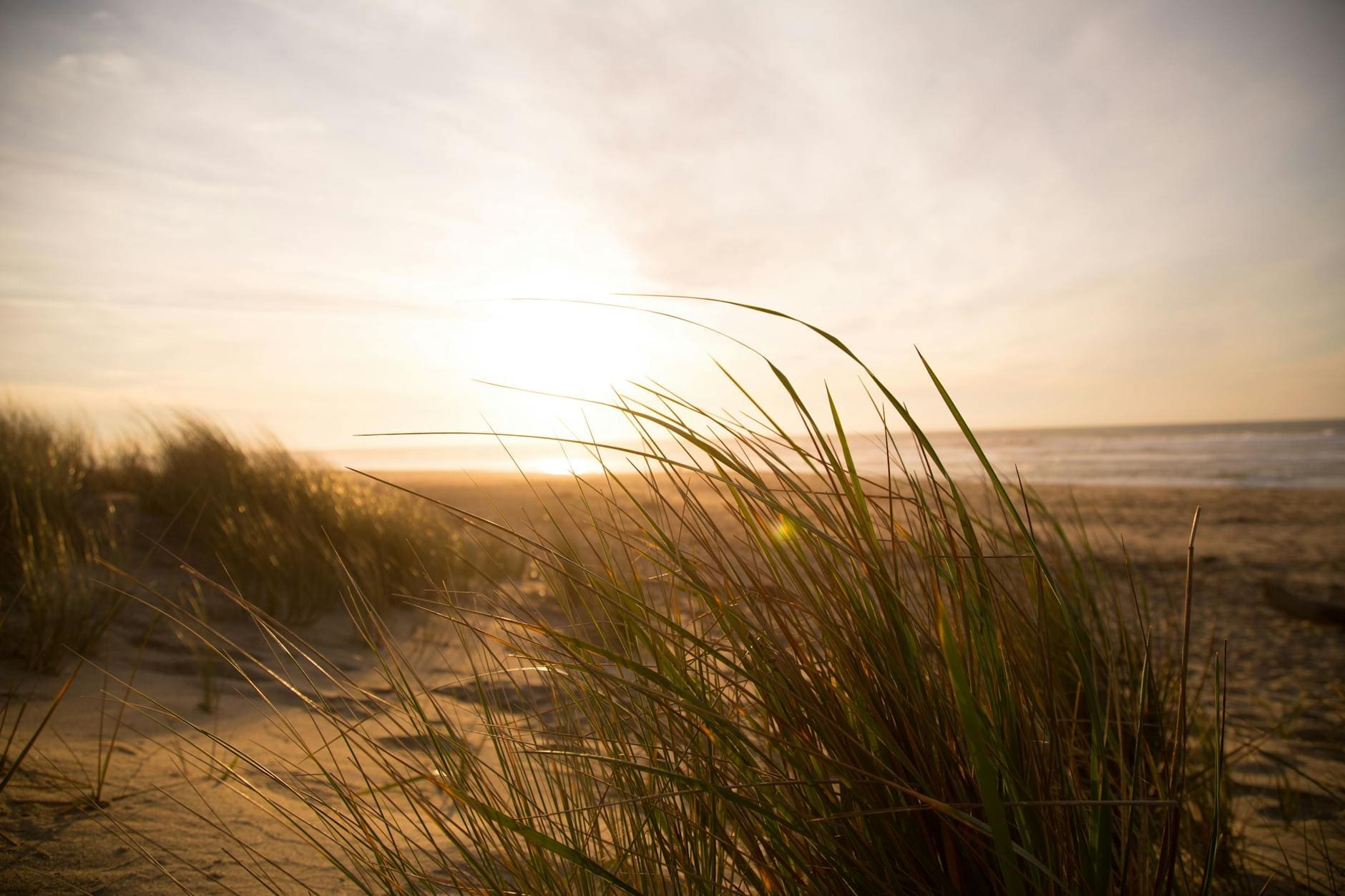 landscape photography of beach