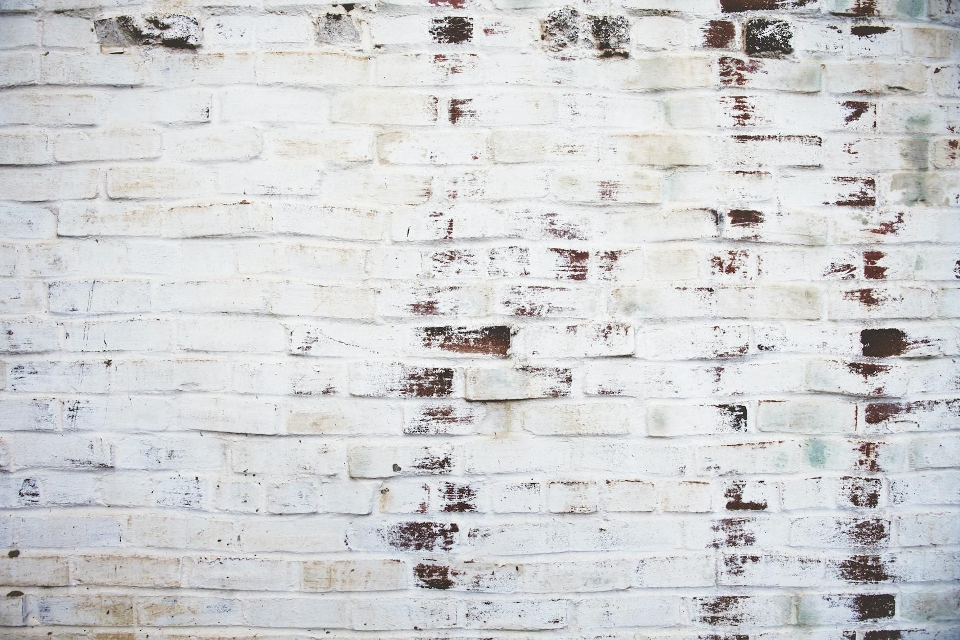 photography of white brick wall