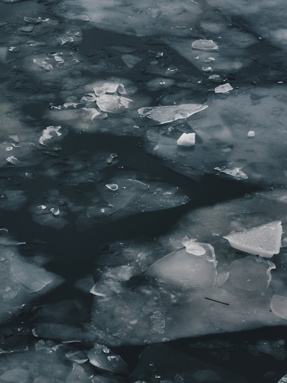 photo of frozen water