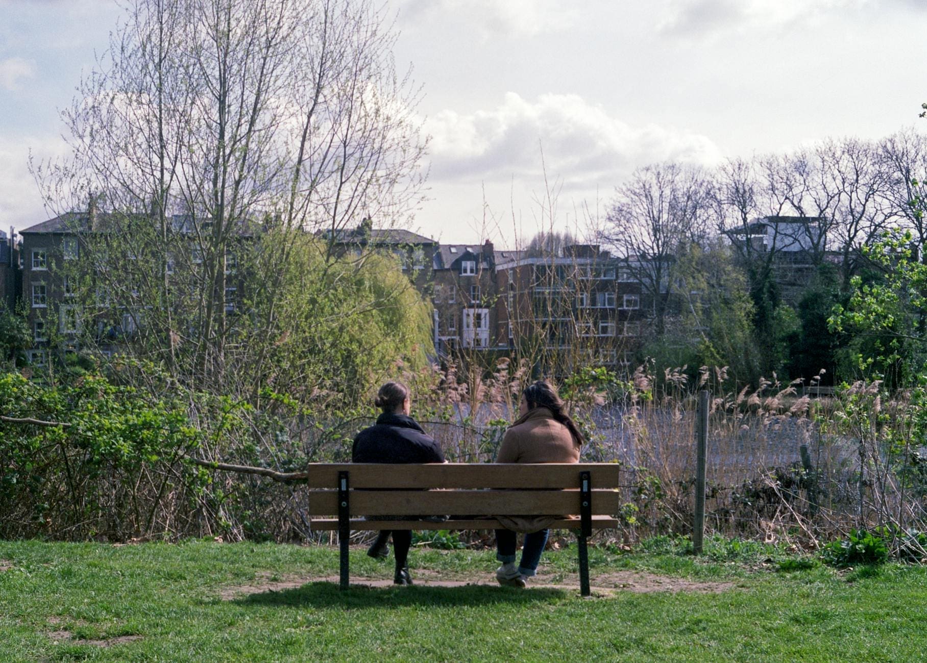 back view of two people sitting on wooden bench
