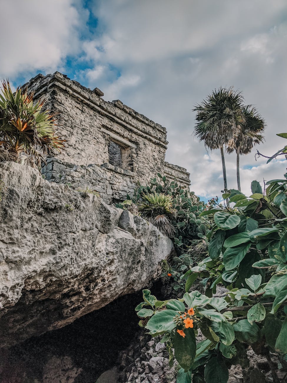 ruins on hill among tropical plants